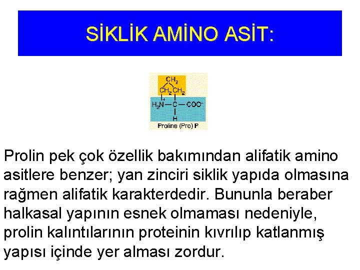 SİKLİK AMİNO ASİT: Prolin pek çok özellik bakımından alifatik amino asitlere benzer; yan zinciri