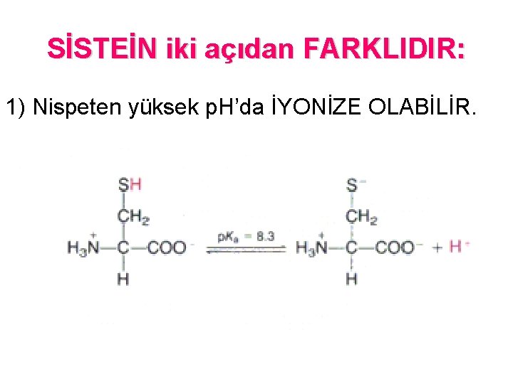 SİSTEİN iki açıdan FARKLIDIR: 1) Nispeten yüksek p. H’da İYONİZE OLABİLİR. 