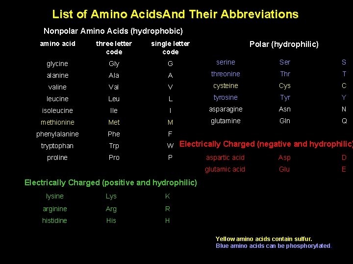 List of Amino Acids. And Their Abbreviations Nonpolar Amino Acids (hydrophobic) Polar (hydrophilic) amino