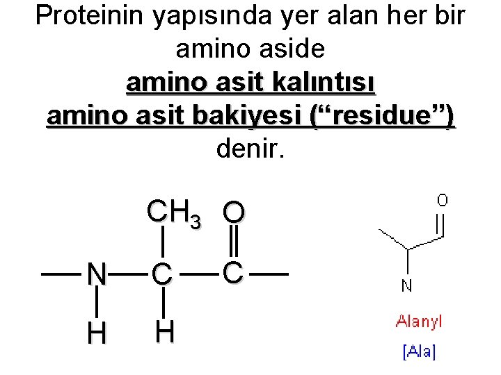 Proteinin yapısında yer alan her bir amino aside amino asit kalıntısı amino asit bakiyesi