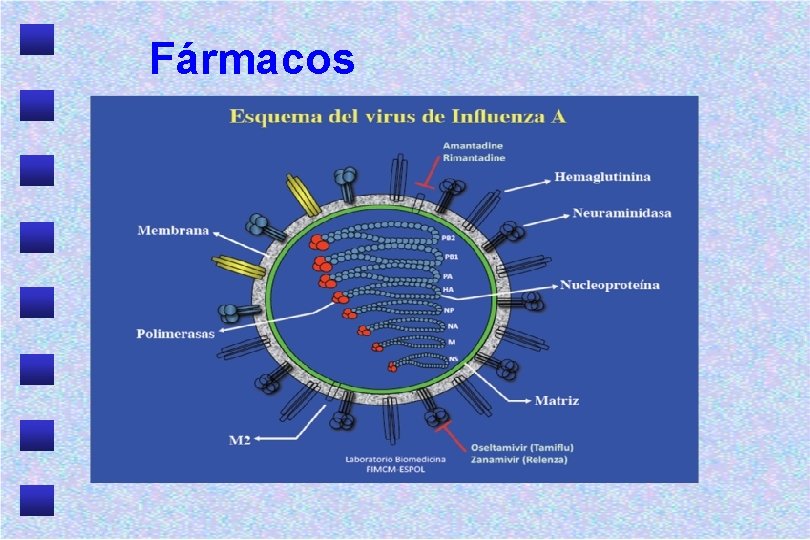 Fármacos 