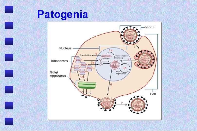 Patogenia 