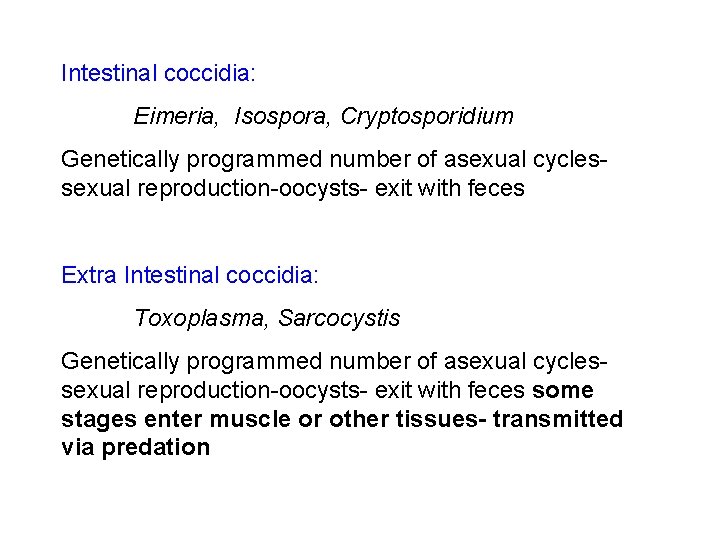 Intestinal coccidia: Eimeria, Isospora, Cryptosporidium Genetically programmed number of asexual cycles- sexual reproduction-oocysts- exit