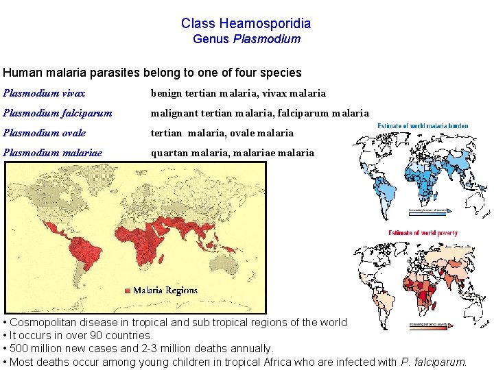 Class Heamosporidia Genus Plasmodium Human malaria parasites belong to one of four species Plasmodium
