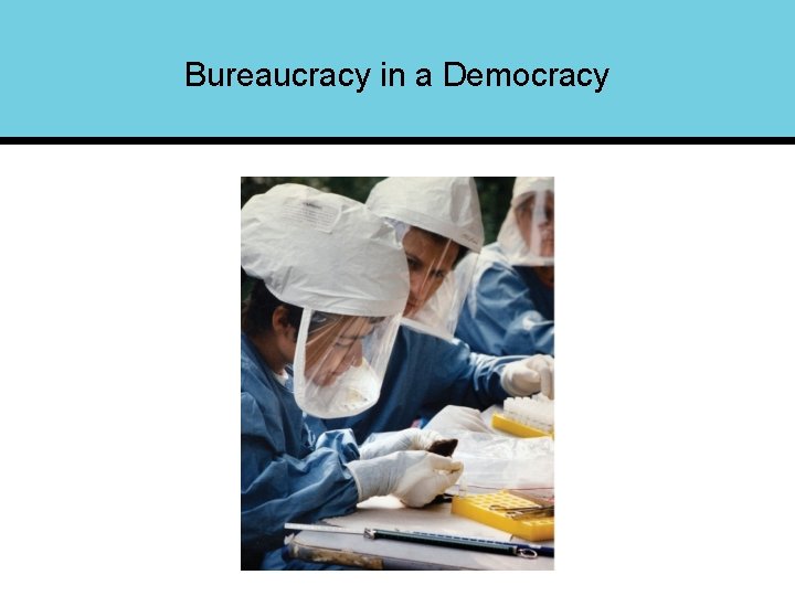Bureaucracy in a Democracy 