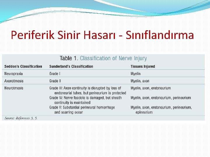 Periferik Sinir Hasarı - Sınıflandırma Periferik Sinir Hasarı - Sınıflandırma