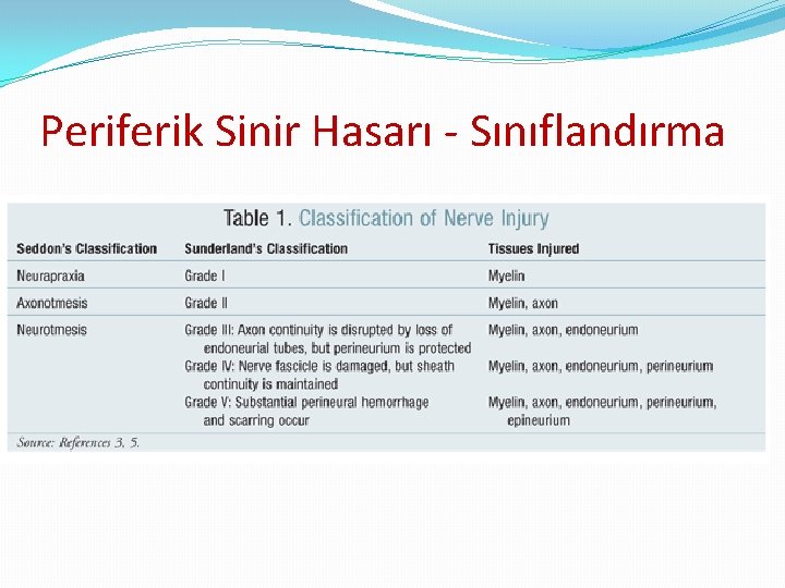 Periferik Sinir Hasarı - Sınıflandırma 