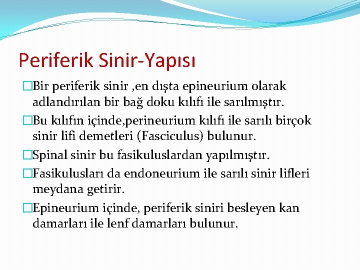Periferik Sinir-Yapısı �Bir periferik sinir , en dışta epineurium olarak adlandırılan bir bağ doku Periferik Sinir-Yapısı �Bir periferik sinir , en dışta epineurium olarak adlandırılan bir bağ doku