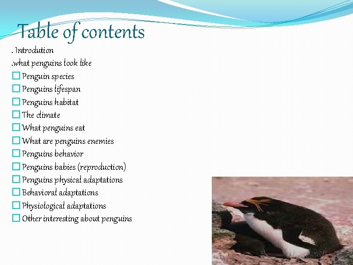 Penguins Birds That Dont Fly Power Point by