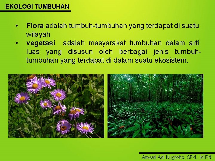 EKOLOGI TUMBUHAN • • Flora adalah tumbuh-tumbuhan yang terdapat di suatu wilayah vegetasi adalah