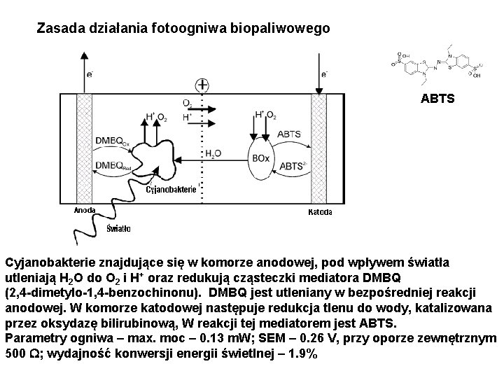 Zasada działania fotoogniwa biopaliwowego ABTS Cyjanobakterie znajdujące się w komorze anodowej, pod wpływem światła