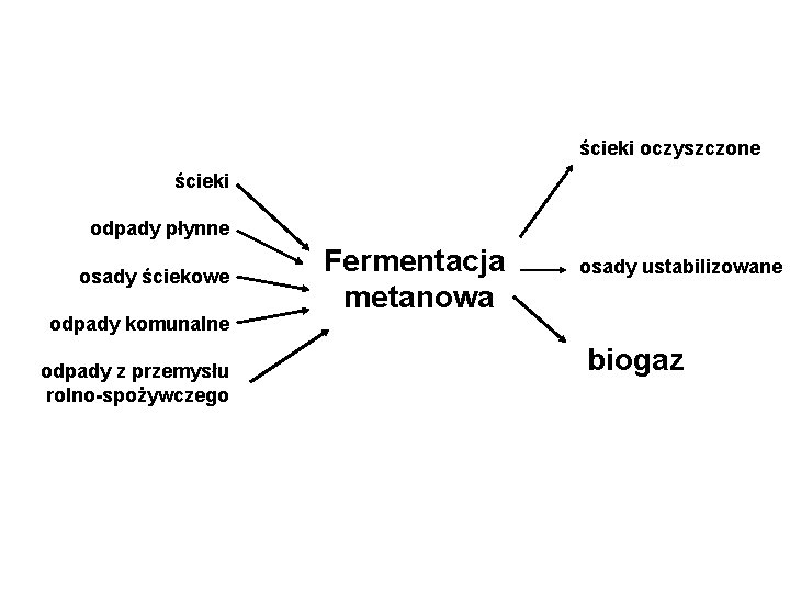 ścieki oczyszczone ścieki odpady płynne osady ściekowe odpady komunalne odpady z przemysłu rolno-spożywczego Fermentacja