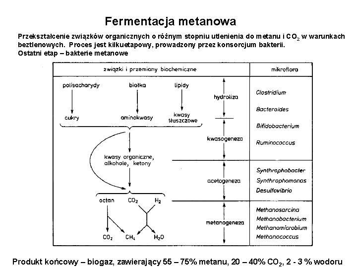Fermentacja metanowa Przekształcenie związków organicznych o różnym stopniu utlenienia do metanu i CO 2