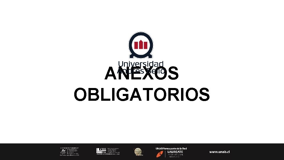 ANEXOS OBLIGATORIOS 