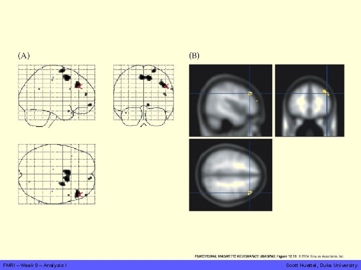 FMRI – Week 9 – Analysis I Scott Huettel, Duke University 