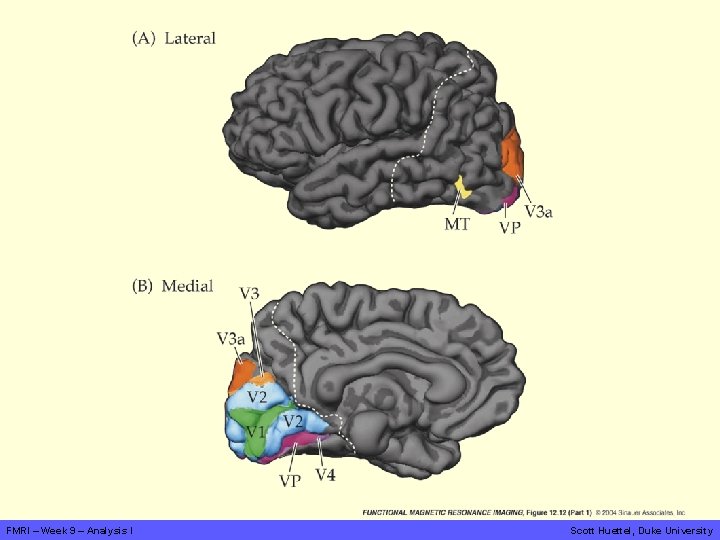 FMRI – Week 9 – Analysis I Scott Huettel, Duke University 