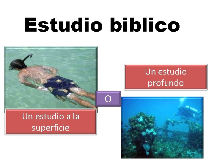 Estudio biblico Un estudio profundo O Un estudio a la superficie 