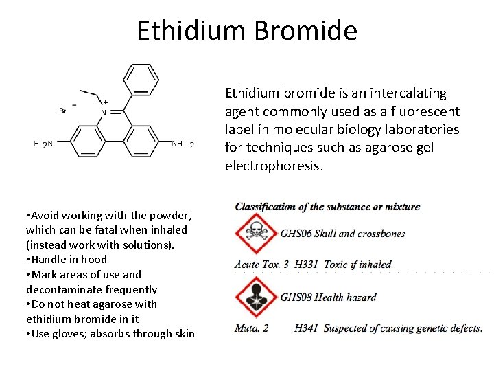 Ethidium Bromide Ethidium bromide is an intercalating agent commonly used as a fluorescent label