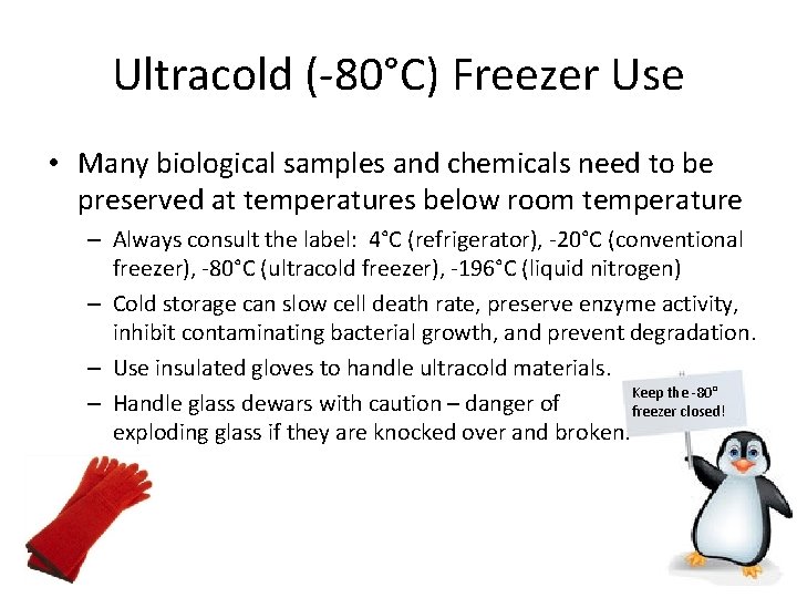 Ultracold (-80°C) Freezer Use • Many biological samples and chemicals need to be preserved