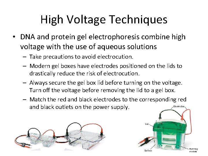 High Voltage Techniques • DNA and protein gel electrophoresis combine high voltage with the