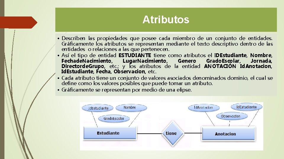 Atributos • Describen las propiedades que posee cada miembro de un conjunto de entidades.