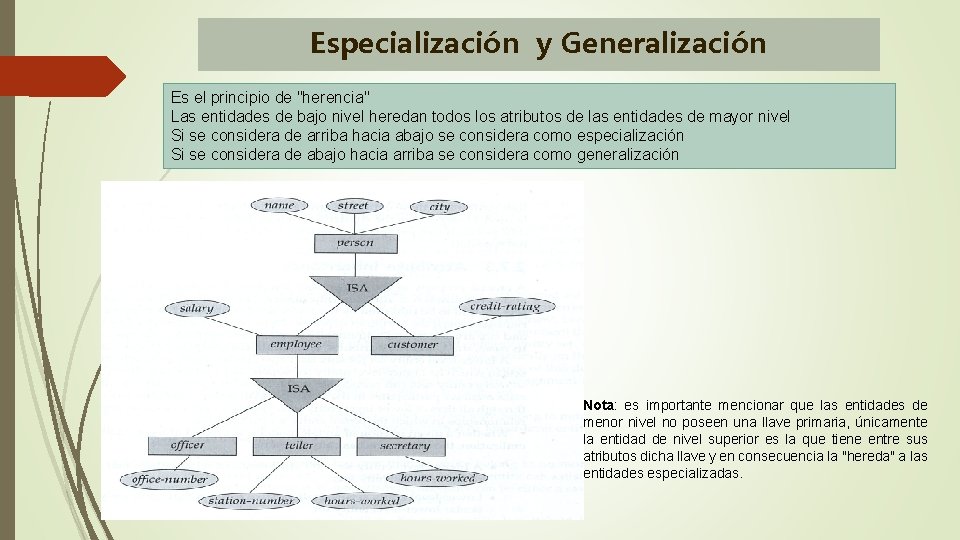 Especialización y Generalización Es el principio de "herencia" Las entidades de bajo nivel heredan