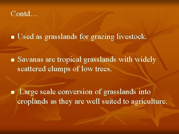 Contd… n n n Used as grasslands for grazing livestock. Savanas are tropical grasslands