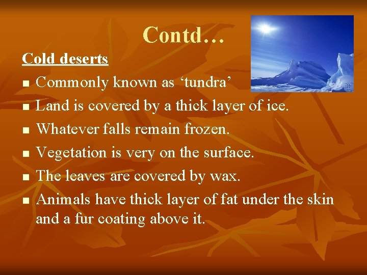 Contd… Cold deserts n Commonly known as ‘tundra’ n Land is covered by a