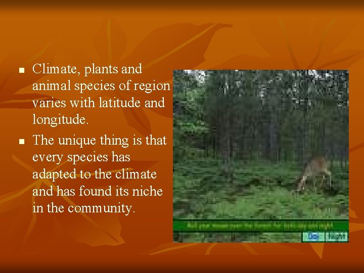 n n Climate, plants and animal species of region varies with latitude and longitude.