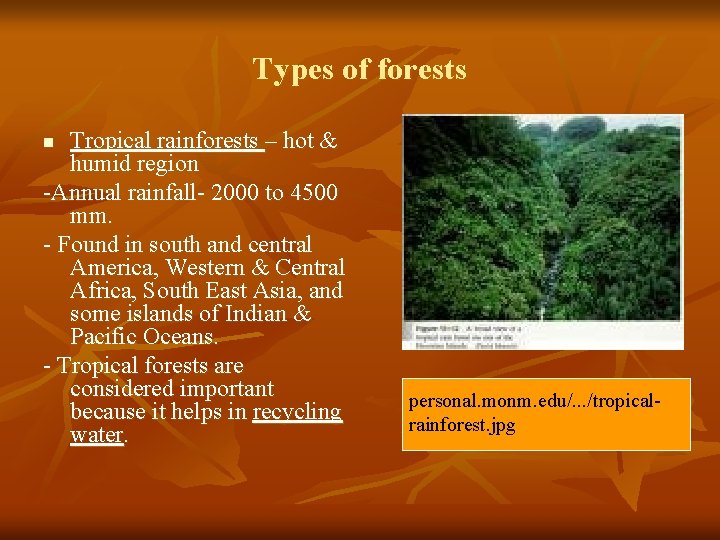 Types of forests Tropical rainforests – hot & humid region -Annual rainfall- 2000 to