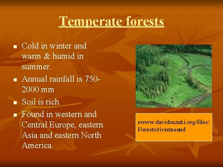 Temperate forests n n Cold in winter and warm & humid in summer. Annual