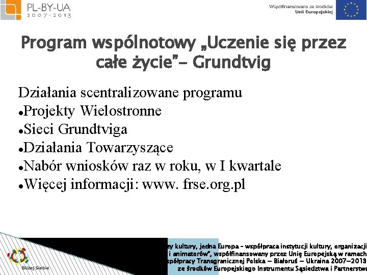 Program wspólnotowy „Uczenie się przez całe życie”- Grundtvig Działania scentralizowane programu Projekty Wielostronne Sieci