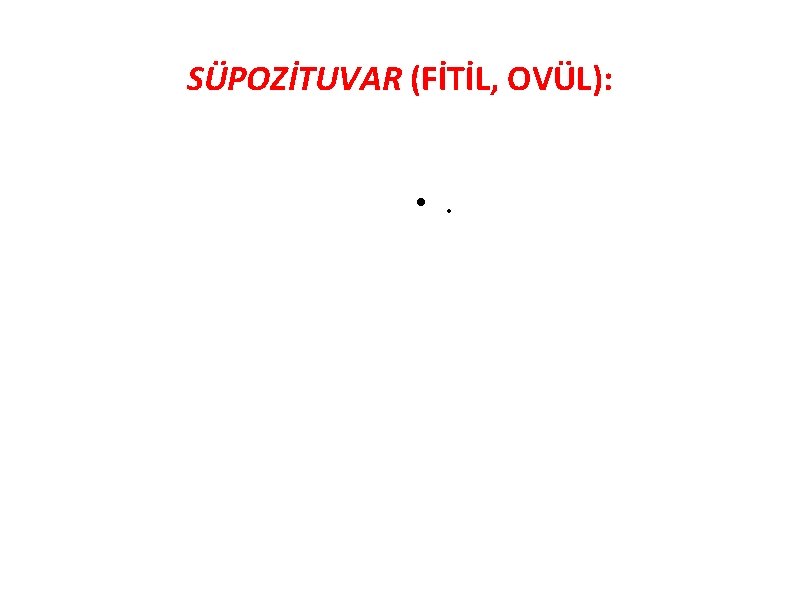 SÜPOZİTUVAR (FİTİL, OVÜL): • . 