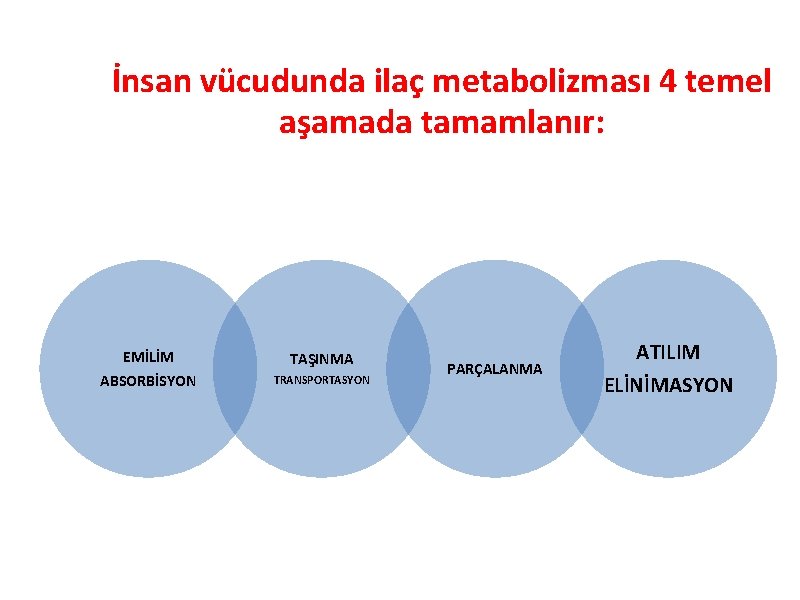 İnsan vücudunda ilaç metabolizması 4 temel aşamada tamamlanır: EMİLİM ABSORBİSYON TAŞINMA TRANSPORTASYON PARÇALANMA ATILIM