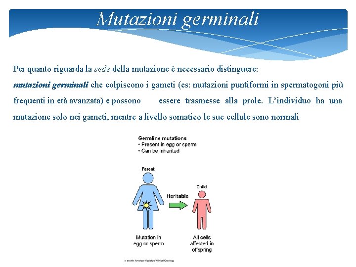 Mutazioni germinali Per quanto riguarda la sede della mutazione è necessario distinguere: mutazioni germinali