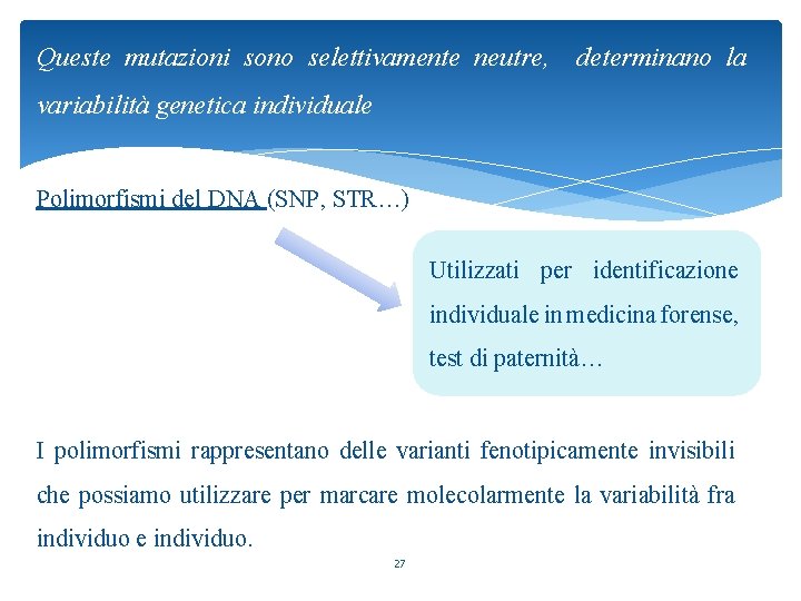 Queste mutazioni sono selettivamente neutre, determinano la variabilità genetica individuale Polimorfismi del DNA (SNP,