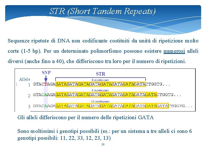 STR (Short Tandem Repeats) Sequenze ripetute di DNA non codificante costituiti da unità di