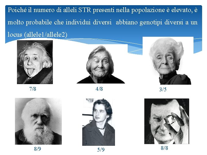 Poiché il numero di alleli STR presenti nella popolazione è elevato, è molto probabile