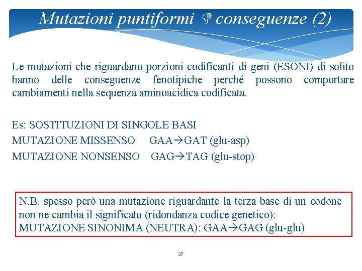 Mutazioni puntiformi conseguenze (2) Le mutazioni che riguardano porzioni codificanti di geni (ESONI) di