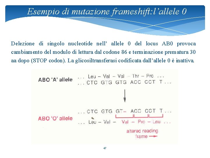 Esempio di mutazione frameshift: l’allele 0 Delezione di singolo nucleotide nell’ allele 0 del