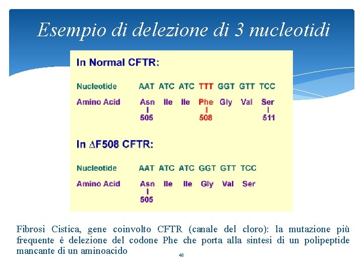 Esempio di delezione di 3 nucleotidi Fibrosi Cistica, gene coinvolto CFTR (canale del cloro):