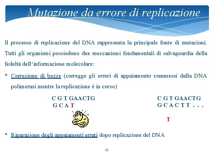 Mutazione da errore di replicazione Il processo di replicazione del DNA rappresenta la principale