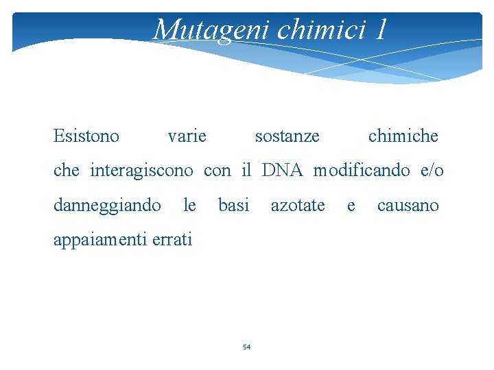 Mutageni chimici 1 Esistono varie sostanze chimiche interagiscono con il DNA modificando e/o danneggiando