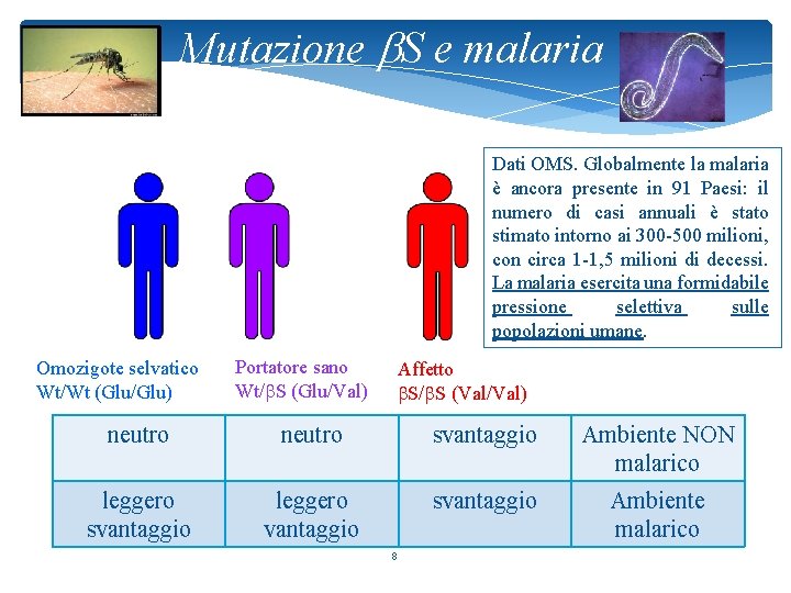 Mutazione b. S e malaria Dati OMS. Globalmente la malaria è ancora presente in