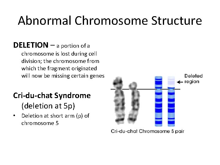 Abnormal Chromosome Structure DELETION – a portion of a chromosome is lost during cell