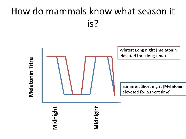 How do mammals know what season it is? Melatonin Titre Winter: Long night (Melatonin