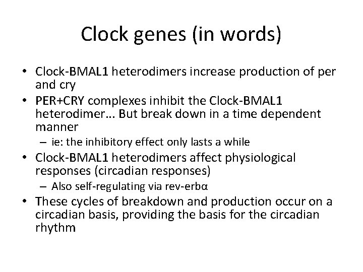 Clock genes (in words) • Clock-BMAL 1 heterodimers increase production of per and cry