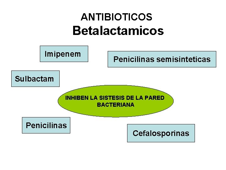 ANTIBIOTICOS Betalactamicos Imipenem Penicilinas semisinteticas Sulbactam INHIBEN LA SISTESIS DE LA PARED BACTERIANA Penicilinas