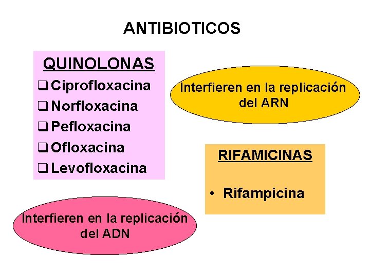 ANTIBIOTICOS QUINOLONAS q Ciprofloxacina q Norfloxacina Interfieren en la replicación del ARN q Pefloxacina