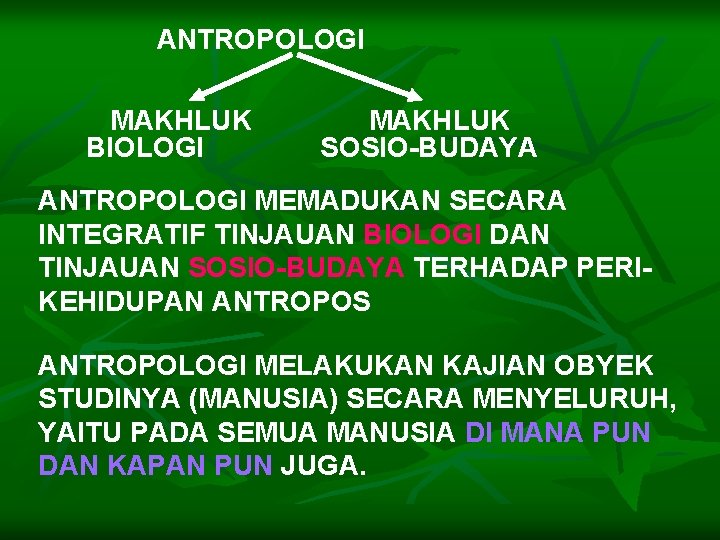  ANTROPOLOGI MAKHLUK BIOLOGI SOSIO-BUDAYA ANTROPOLOGI MEMADUKAN SECARA INTEGRATIF TINJAUAN BIOLOGI DAN TINJAUAN SOSIO-BUDAYA